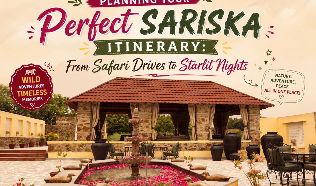 Planning Your Perfect Sariska Itinerary: From Safari Drives to Starlit Nights