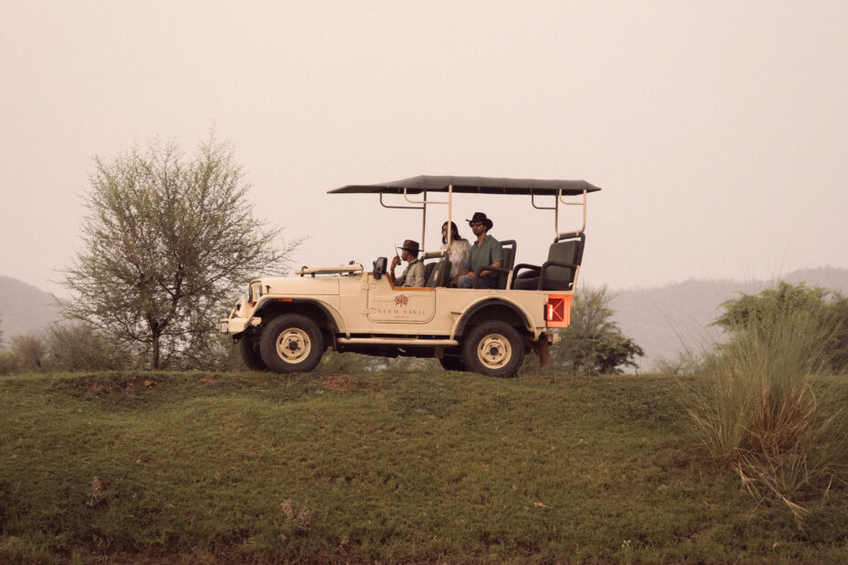 wildlife safari sariska