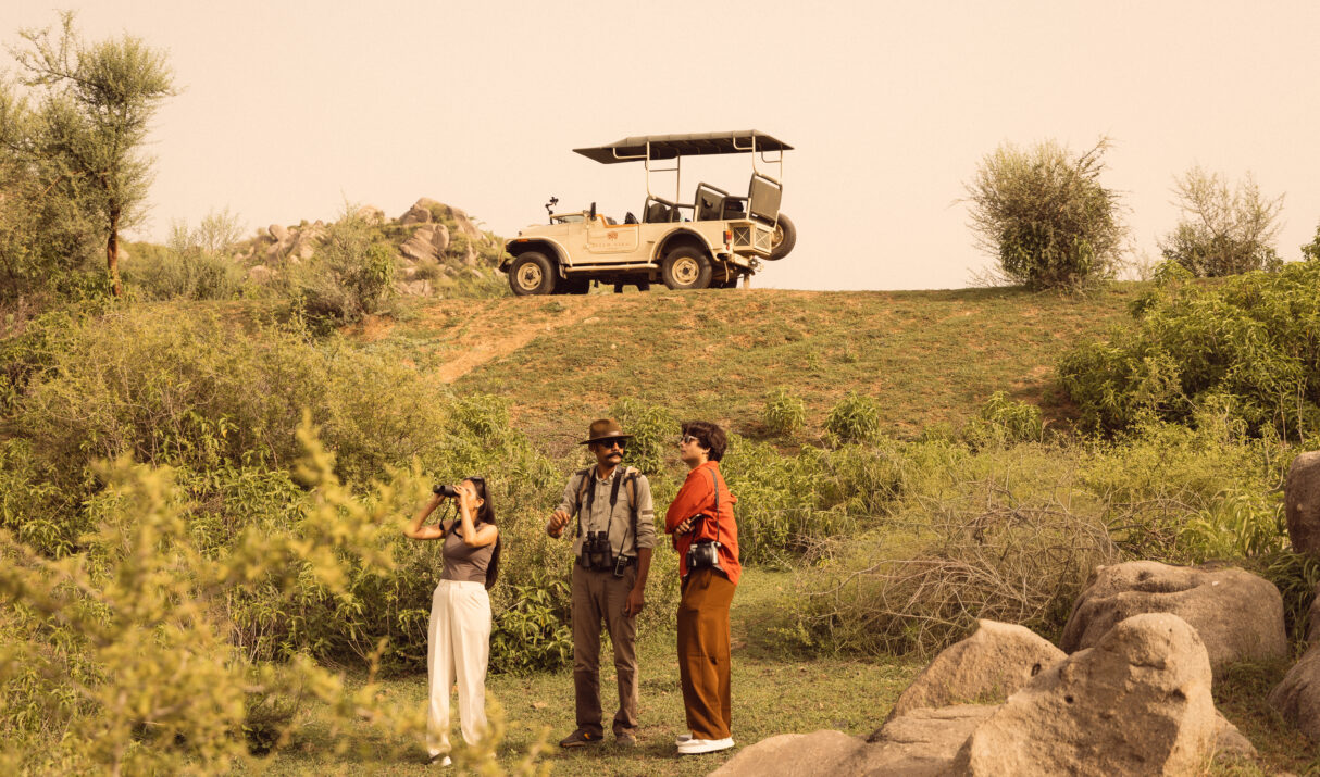 Best Daily Schedule for Sightseeing in Sariska During Summer