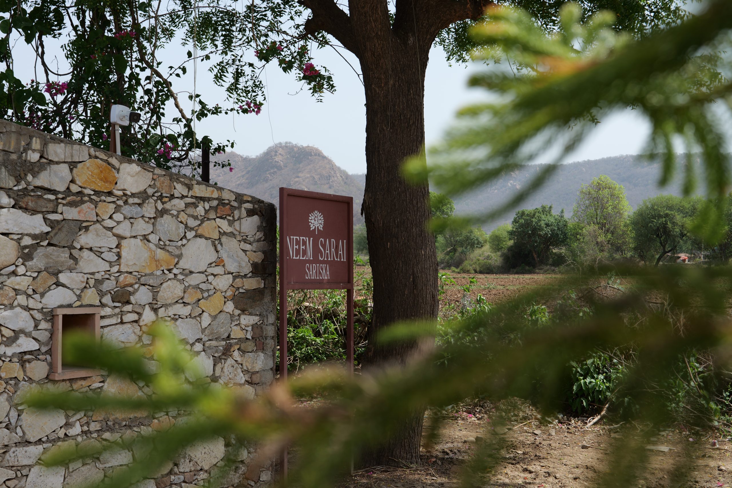 Luxury New Year’s Getaway in Neem Sarai, Sariska