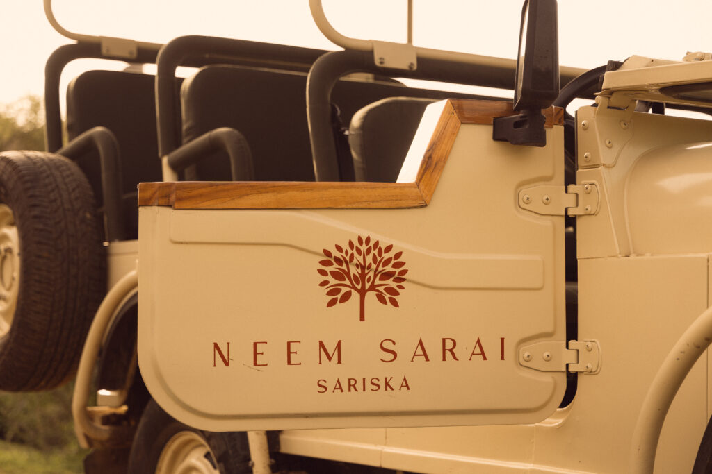 neem Sarai safari image