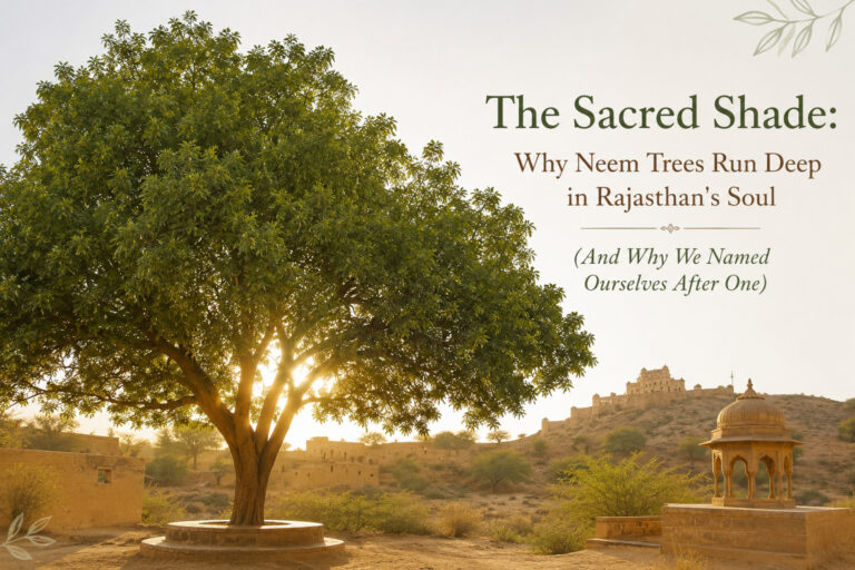 The Sacred Shade: Why Neem Trees Run Deep in Rajasthan's Soul (And Why We Named Ourselves After One)