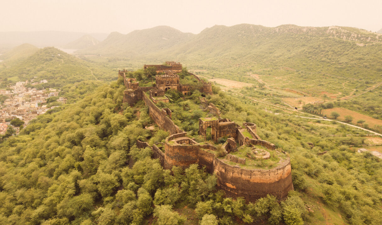 Where to Stay While Visiting Sariska National Park (2026 Guide)