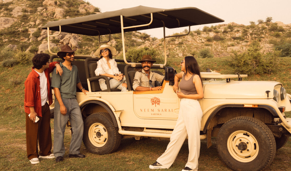 Morning vs Evening Safari: Which Is Better?