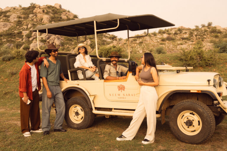 Morning vs Evening Safari: Which Is Better?