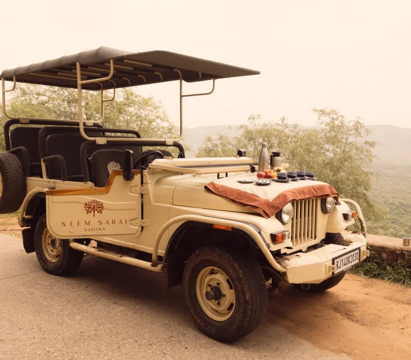 2L1A1516