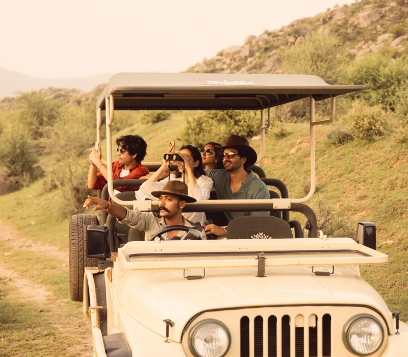 Sariska Safari
