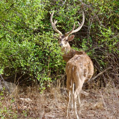 vivek-k-kaushik-WLzWdOQBcMM-unsplash